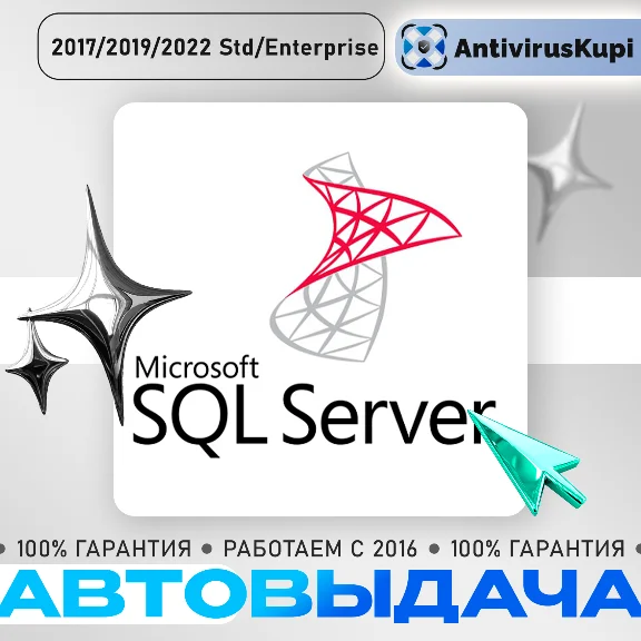 SQL Server 2017/2019/2022 Standard/Enterprise