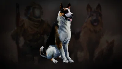 Icarus: Pet Companions Pack DLC STEAM GIFT РОССИЯ