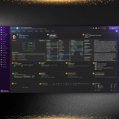 ⭐DLC In-Game editor Football Manager 2024⚡STEAM АВТО