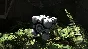 Portal: Revolution Plush Pack 💎 DLC STEAM GIFT RUSSIA