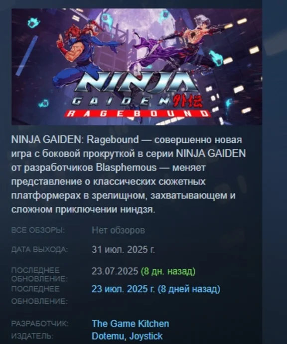 NINJA GAIDEN: Ragebound АВТОДОСТАВКА STEAM РОССИЯ