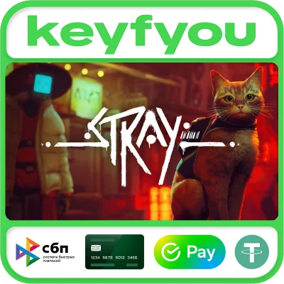 Stray / STEAM КЛЮЧ 🔥
