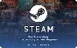 Steam Argentina 10 USD