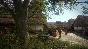 Kingdom Come: Deliverance Royal + Б/А XBOX КЛЮЧ