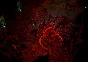 Pathfinder: Wrath of the Righteous | Xbox Key/Code