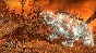 Total War WARHAMMER I-II-III+DLC+OMENS OF DESTRUCTION