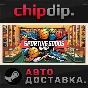 Sporting Goods Shop STEAM AUTO RU/UA/KZ/CIS