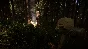 Sons of the Forest STEAM OFFLINE AUTO 24/7