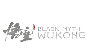 🔥 Black Myth: Wukong | Steam RU+KZ+CN+UA
