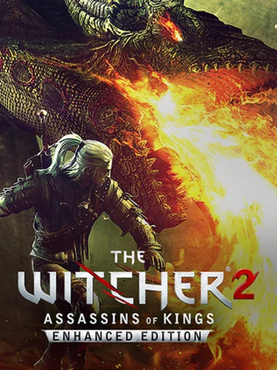 The Witcher 2: Assassins of King EE / GOG Key / GLOBAL