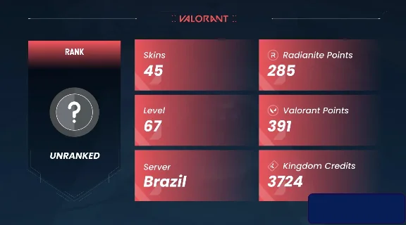2 in 1 | VALORANT + LOL | 45 skins | 67 level