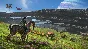 AVATAR: FRONTIERS OF PANDORA PC (WIN) KEY/CODE