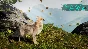 Spirit of the North 2: SaveAFox Pack DLC STEAM RUSSIA