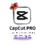 Гарантия на личный аккаунт CapCut Pro 1/6/12 месяцев