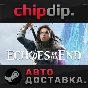Echoes of the End STEAM AUTO RU/UA/KZ/CIS