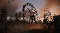 ️STALKER 2 Heart of Chornobyl  — Deluxe to Ultimate Upg