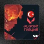 Коды Valorant VP 130 - 11000 VP 🇹🇷 (Турция)