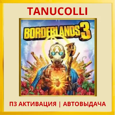 ☀️ Borderlands 3 (PS5/RU) P3 Activation