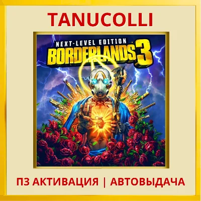 ☀️ Borderlands 3 Next level (PS5/RU) П3 - Активация