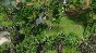 SpellForce 3: Fallen God STEAM KEY RU+CIS LICENSE