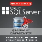 Windows Server /SQL Official Microsoft Partner