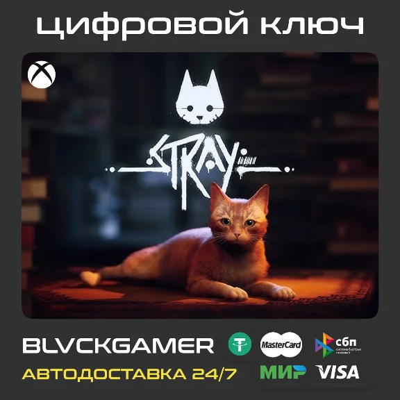 Stray Xbox Series X/S