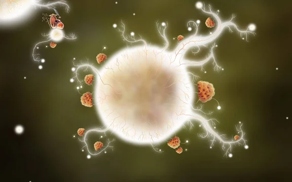 Botanicula. STEAM key (Global)
