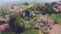 Age of Empires IV: Dynasties of the East * RU/СНГ/TR/AR