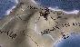 Expansion - Europa Universalis IV: Domination STEAM RUS