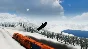 ️ALL COUNTRIES️ SNWBRD Freestyle Snowboarding STEAM
