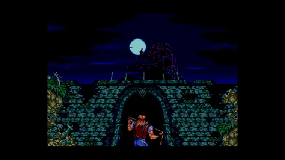Castlevania Anniversary Collection  STEAM GIFT FOR RU
