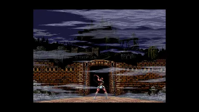 Castlevania Anniversary Collection  STEAM GIFT FOR RU