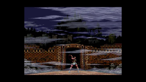 Castlevania Anniversary Collection  STEAM GIFT FOR RU