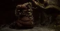 Remnant: From the Ashes – Swamps of Corsus DLC STEAM