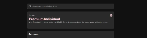 Spotify Premium: индивидуальный, дуэтный 1/3/6/12 м 🔥✅