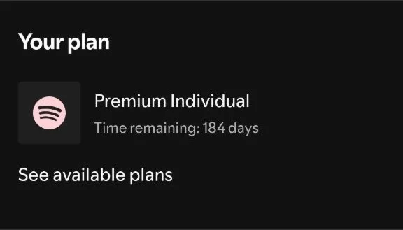 Spotify Premium: индивидуальный, дуэтный 1/3/6/12 м 🔥✅