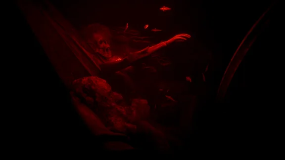 🎮STILL WAKES THE DEEP THE COMPLETE COLLECTION XBOX KEY