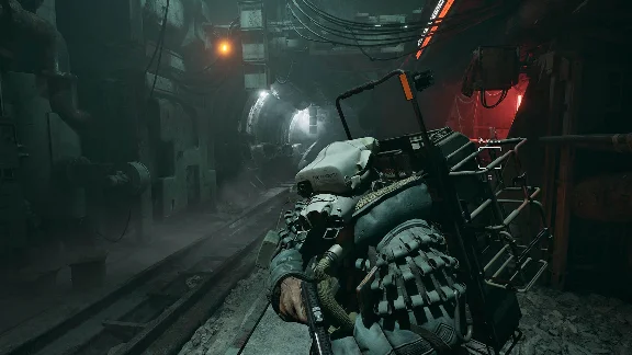 The Forever Winter - Fleshwraps Skin Pack STEAM РОССИЯ