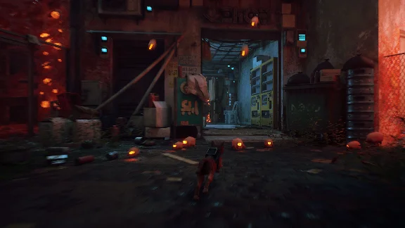 ✅❤️STRAY❤️XBOX+PC WIN🔑КЛЮЧ✅