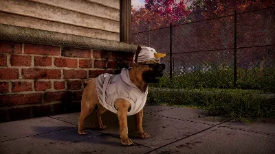 Animal Shelter 2 Steam КЛЮЧ GLOBAL