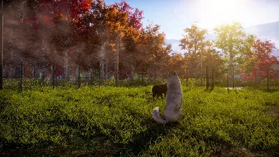 Animal Shelter 2 Steam КЛЮЧ GLOBAL