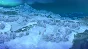 Ni no Kuni Wrath of the White Witch Remastered STEAM РФ