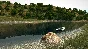 Ultimate Fishing Simulator | Gold Edition (+11 DLC) Key