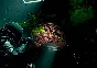 Cronos: The New Dawn Xbox Series X|S Key/Code