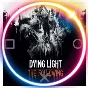 💠 Dying Light: Following (PS4/PS5/RU) Rent from 7 days