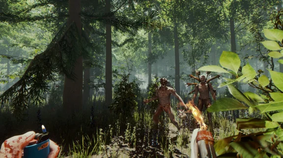 ⭐️ The Forest Steam Gift ✅ AUTO 🚛 ALL REGIONS RU CIS
