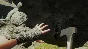 ⭐️ The Forest Steam Gift ✅ AUTO 🚛 ALL REGIONS RU CIS