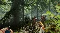 ⭐️ The Forest Steam Gift ✅ AUTO 🚛 ALL REGIONS RU CIS