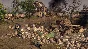 Men of War II  💎 STEAM GIFT RU