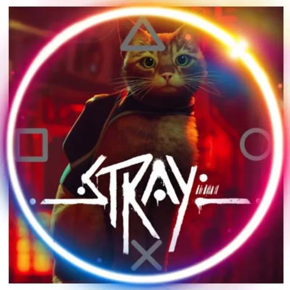 💠 Stray (PS4/PS5/RU) P3 - Activation